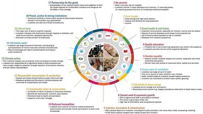 Frontiers | Animal Welfare And The United Nations Sustainable ...